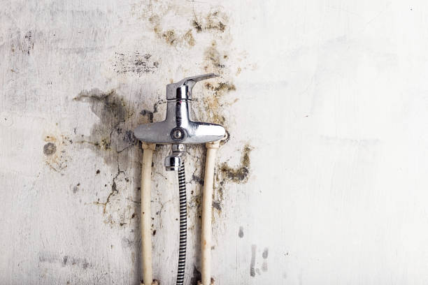 Water Damage Restoration in Broxton, GA