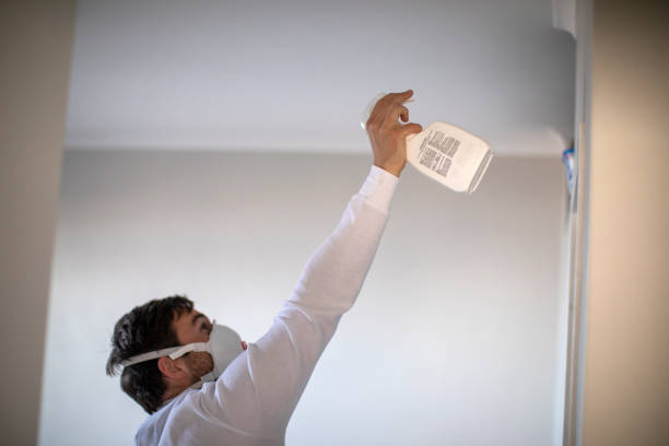 Best Mold Damage Repair  in Broxton, GA