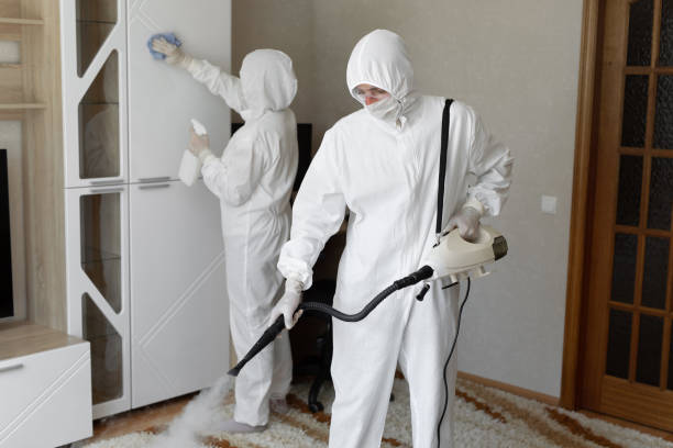Best Mold Testing  in Broxton, GA