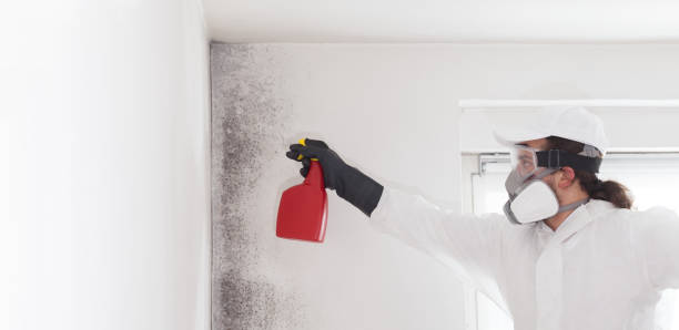 Best Water Damage Restoration  in Broxton, GA