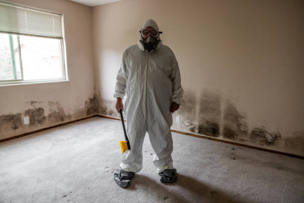 Best Local Mold Removal Service  in Broxton, GA